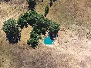 Balkan Mountains Prints: Small forest surrounding a water pond near the village of Medven