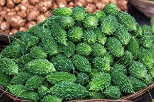 Bitter Prints: Small green bitter gourds are kept in baskets for sale in the market