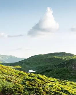 Small heart-shaped mountain lake on green slopes covered with pink blooming rhododendron flowers. Fluffy cloud in the blue sky