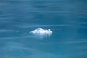 Blue Sea Prints: Small iceberg floating in the Gulf of Alaska