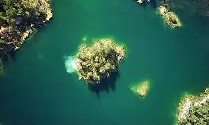 Summer Trees Prints: Small island in green lake water aerial above top view