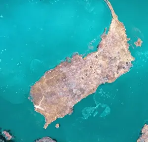 Stranded Prints: A small island with trees without leaves and orange dry vegetation