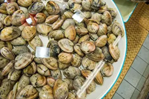 Alive Prints: Small live clams being stored in water at market in Asia