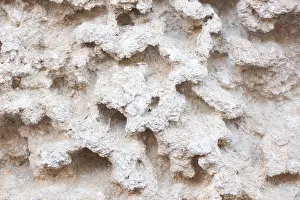 Cavity Prints: Detail of two small stones in the cavity of weathered limestone rocks