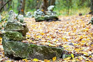 Eco Tourism Prints: Small waterfall in a rocky forest canyon surrounded by vibrant autumn foliage