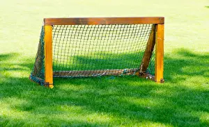Sport Stadium Prints: The small wooden goal for the soccer on the empty green field