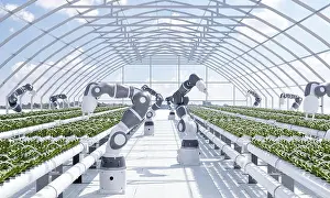 Smart farm with robot hands growing and harvesting vegetables in greenhouse with sky background