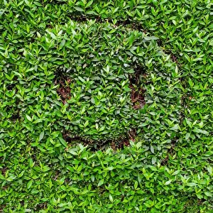 Optimistic Prints: Smiling emoji. Emoji with a smile on green leaves background. Positive emotions concept