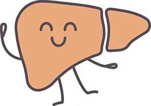 Smiley Prints: Smiling liver character color icon
