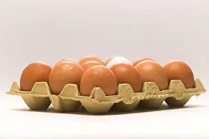 Brave Prints: A smiling white egg in front of 11 sad or angry brown eggs