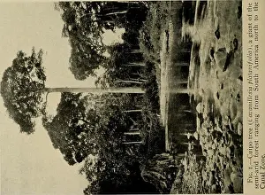 Smithsonian miscellaneous collections