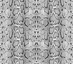 Bristle Prints: Snake skin pattern texture repeating seamless monochrome Texture snake