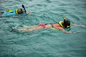 Tropical Waters Prints: Snorkeling, looking for turtles Curaçao