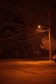 Street Light Prints: Snow falling around street light and trees in suburban area at night, Seattle, WA, USA