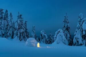 February Collection: Snow igloo luminous from the inside in the winter mountains. Snow-covered firs in the evening
