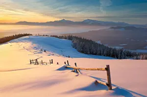 Carpathians Prints: snow mountain, snow covered tree lit yellow light of the morning sun