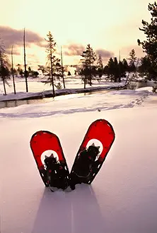 Yellowstone National Park Prints: Snowshoes in the snow along the Firehole River in Yellowstone National Park Wyoming