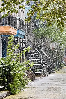 Snowstorm Prints: Snowstorm, Avenue Laval, Montreal, Quebec