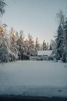 Boreal Prints: Snowy clearing next to animal enclosure in forest in Ranua, Lapland