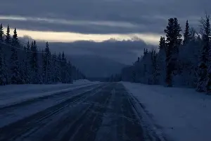 Delta Junction Prints: Snowy trees next to Alaskan Highway on a dark winter morning in interior Alaska