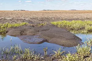 Flooding Prints: Soil erosion flowing into ditch from farm field due to rain and flooding