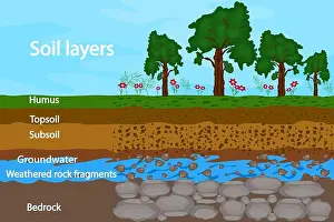Beneath Prints: Soil layers. Diagram for layer of soil