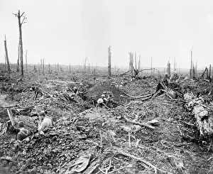 Soldiers digging a communication trench through Delville Wood during the Battle of the Somme
