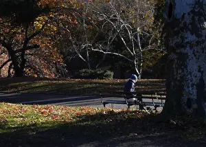 Thoughts Prints: Solitary moment in Central Park