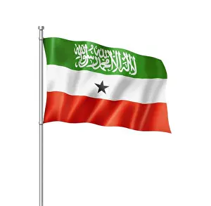 Folds Prints: Somaliland flag isolated on white