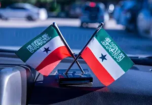 Folds Prints: Somaliland flags