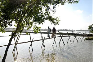 Rising Prints: South asia Bangladesh, people crossing the bamboo rod bridge in shrimp farm near Khulna