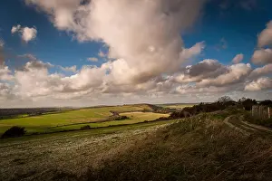 south downs near long furlong worthing Trending Item 5