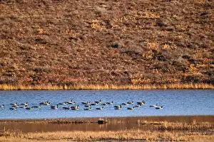 On Water Prints: South of the industrial area of Deadhorse in Alaska