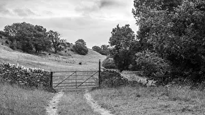 Wiltshire Prints: Southern Cotswold Countryside in Monochrome, Wiltshire, UK