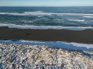 Changing Prints: Southern Oregon beach covered in snow after a rare winter storm in February 2023