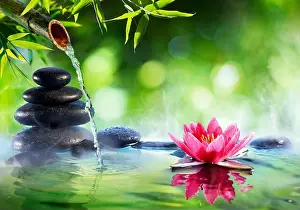 Lotus Prints: Spa Stones And Waterlily With Fountain In Zen Garden - Asian Culture