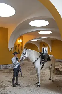 Horse Prints: Spain, Andalusia, Jerez de la Frontera