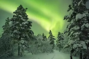 Northern Lights Prints: Spectacular aurora borealis (northern lights) over a path through winter landscape in Finnish Lapland
