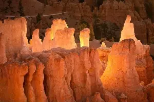 Uneven Prints: Spectacular scenery of yellow colored rocky Grand Canyon with rough uneven surface in sunset in USA