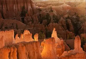Uneven Prints: Spectacular scenery of yellow colored rocky Grand Canyon with rough uneven surface in sunset in USA