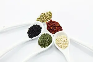 Crushed Prints: Spices