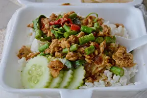 Plastic Pollution Prints: spicy stir fried chicken with basil leaf on rice in foam box for take home