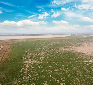 Splendid aerial photography of green wavy field