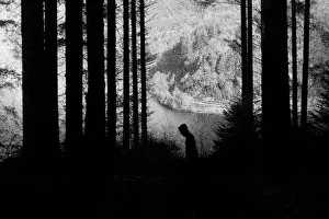 Nightmare Prints: A spooky, eerie forest. With a hooded man silhouetted against the trees