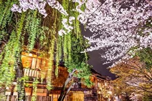 Images Dated 3rd April 2014: Spring foliage in Kyoto, Japan at night