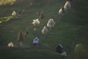 Spring rural landscape with blooming trees in the mountain area