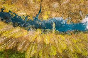 Wonderland Prints: Spring Season. Aerial View. Young Birches Grow Among Small Marsh Bog Swamp
