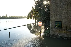 Flooding Prints: Spring tide floods road by river Thames by fullers brewery with no entery sign Chiswick mall London