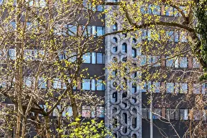 Negative Space Prints: A spring tree with yellow-green buds in front of the prefabricated block housing the Stasi headquarters
