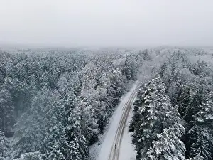 Spruce forest top down birds eye view. Winter landscape from above. Drone shot of snow covered tree